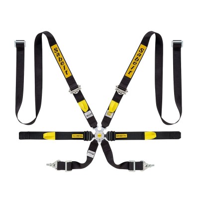 Sabelt 6-point FIA 8853-2016