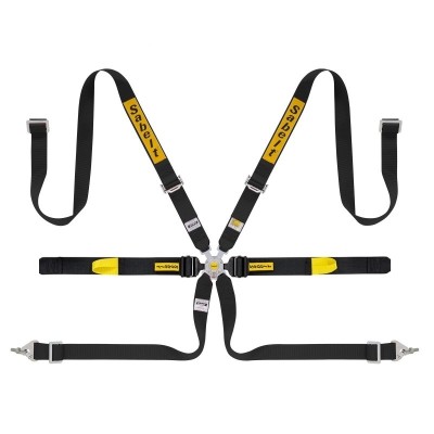 SABELT 6-POINT FIA 8853-2016 PULL UP